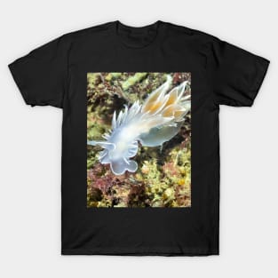 Alabaster Nudibranch / White-lined Dirona T-Shirt